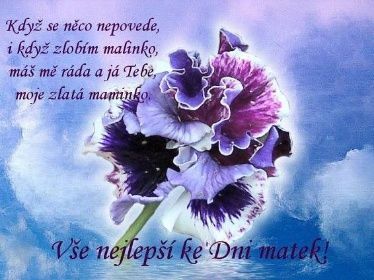 den matek
